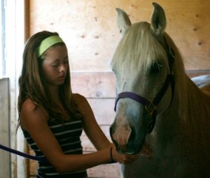 Merlin: Best Pony Ever